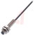 Balluff - BES00CW - 2m PUR cable PNP/NO Flush 2mm M8 Inductive Sensor|70375658 | ChuangWei Electronics