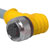 TURCK - WK 4T-32/S618 - M12 32m Female Cordset - Cordset M12|70035798 | ChuangWei Electronics