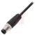 Balluff - BCC06UW - PVC 5m 12cond. M12 Male to Cut-end; Black Cordset|70375498 | ChuangWei Electronics