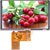 Focus Display Solutions - E50RG38048LW2M320-R-TFT - 16/18/24 bit RGB interface 800x480 5 inch TFT Display|70596726 | ChuangWei Electronics