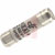 Altech Corp - 8C10X38GI - 500VAC Cartridge Ceramic Dims 10x38mm Class gl/gF 8A Slow Blow Cylinder Fuse|70025360 | ChuangWei Electronics