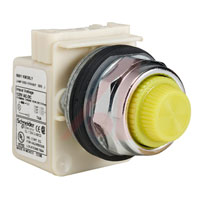 Schneider Electric 9001KP38LYY31